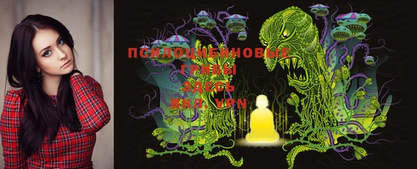 винт Елизово