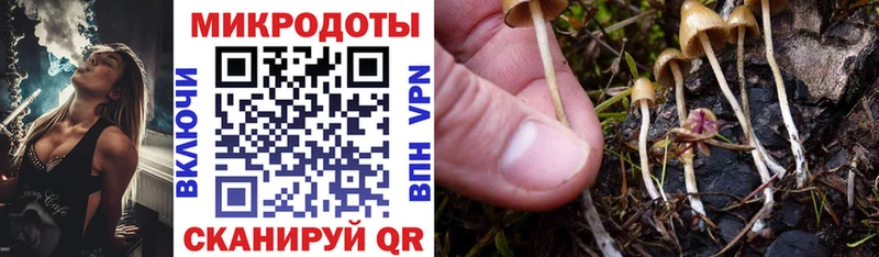 Псилоцибиновые грибы GOLDEN TEACHER  Купить  Пенза 